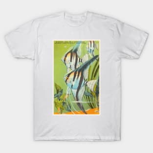 Angel fish at eastern garden aquarium, Florida postcard T-Shirt